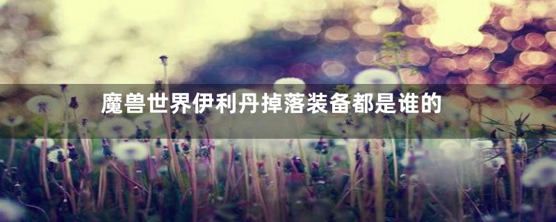 魔兽世界伊利丹掉落装备都是谁的