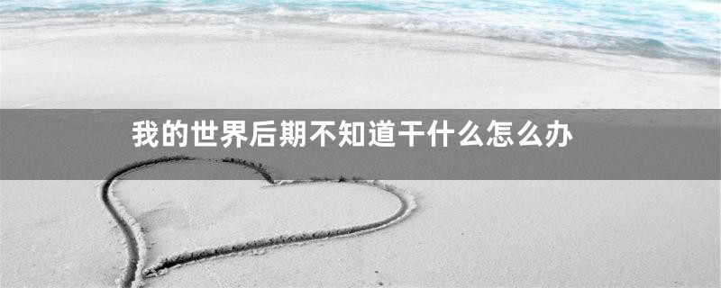 我的世界后期不知道干什么怎么办