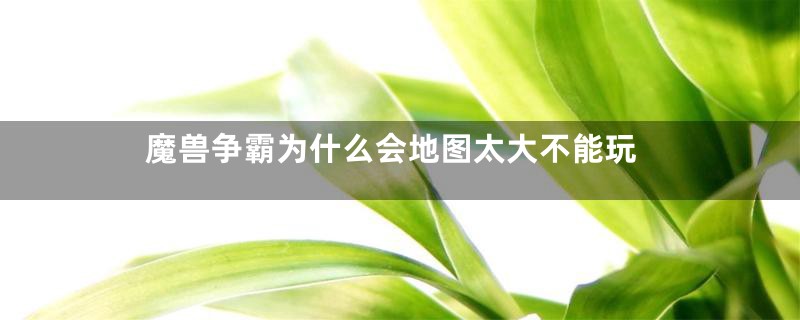 魔兽争霸为什么会地图太大不能玩