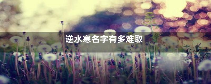 逆水寒名字有多难取