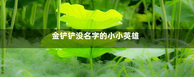 金铲铲没名字的小小英雄