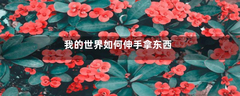 我的世界如何伸手拿东西