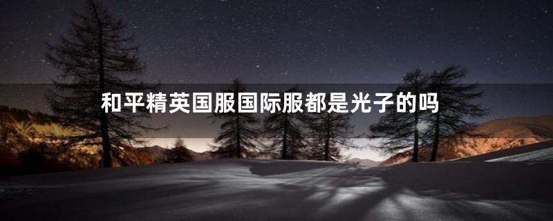 和平精英国服国际服都是光子的吗