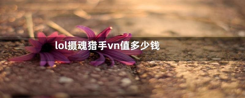 lol摄魂猎手vn值多少钱