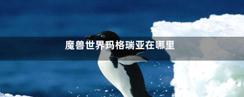 魔兽世界玛格瑞亚在哪里