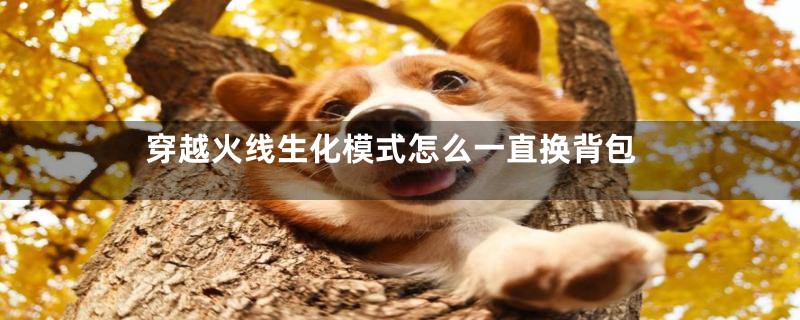 穿越火线生化模式怎么一直换背包