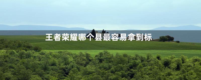 王者荣耀哪个县最容易拿到标