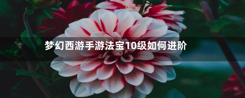 梦幻西游手游法宝10级如何进阶
