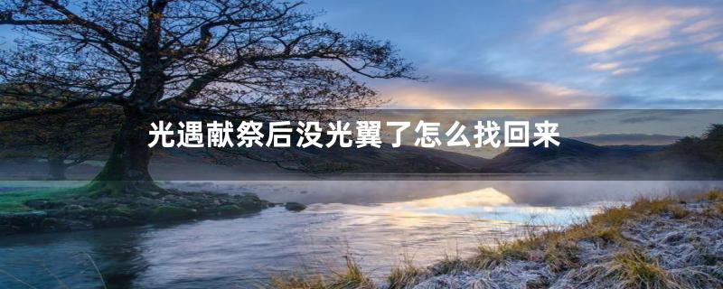 光遇献祭后没光翼了怎么找回来