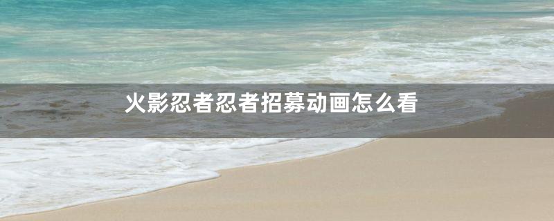 火影忍者忍者招募动画怎么看
