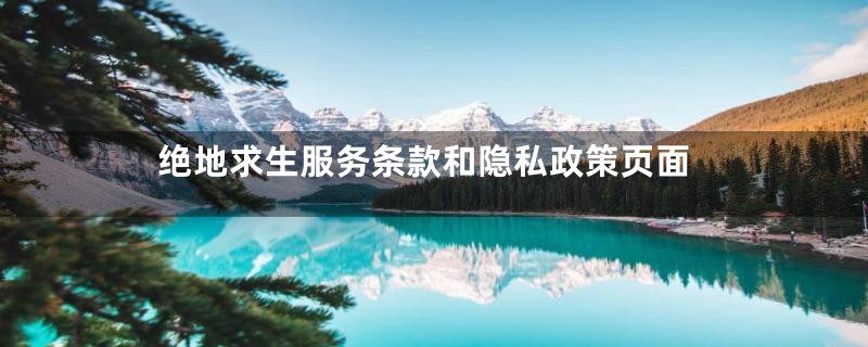 绝地求生服务条款和隐私政策页面