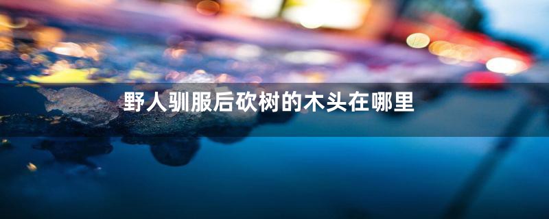 野人驯服后砍树的木头在哪里