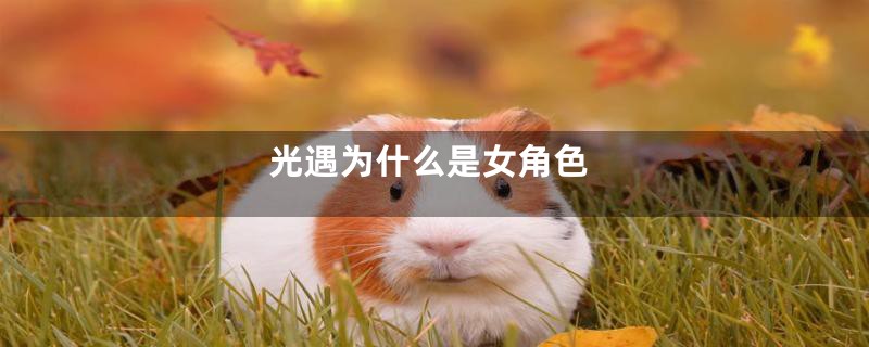 光遇为什么是女角色