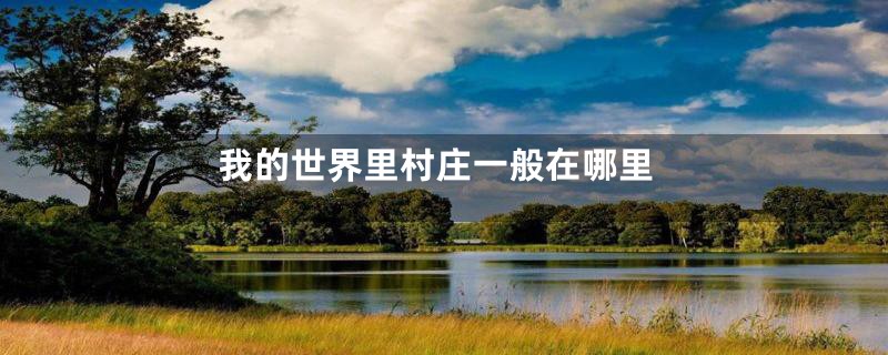 我的世界里村庄一般在哪里