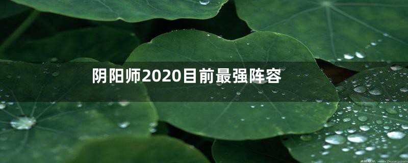 阴阳师2020目前最强阵容