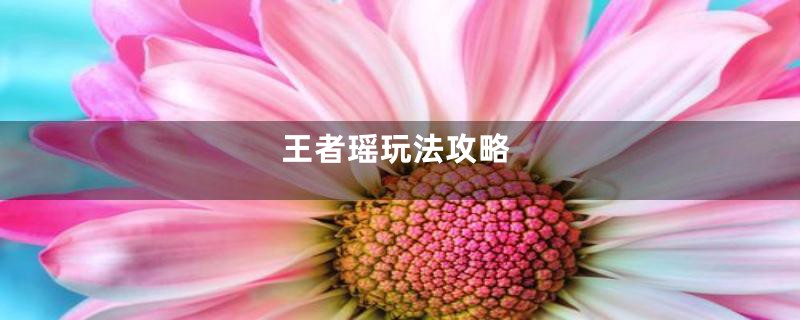 王者瑶玩法攻略