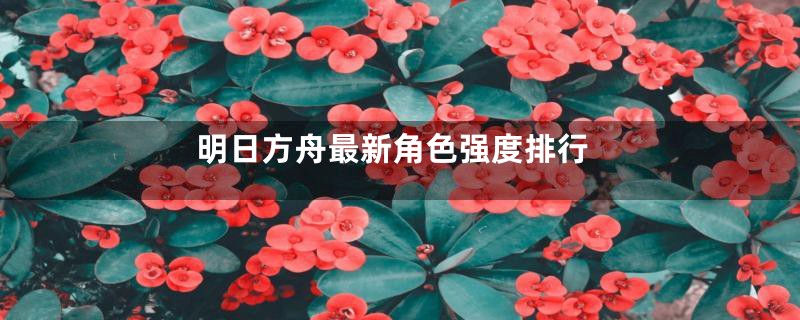 明日方舟最新角色强度排行