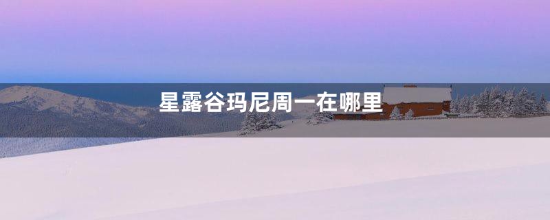 星露谷玛尼周一在哪里
