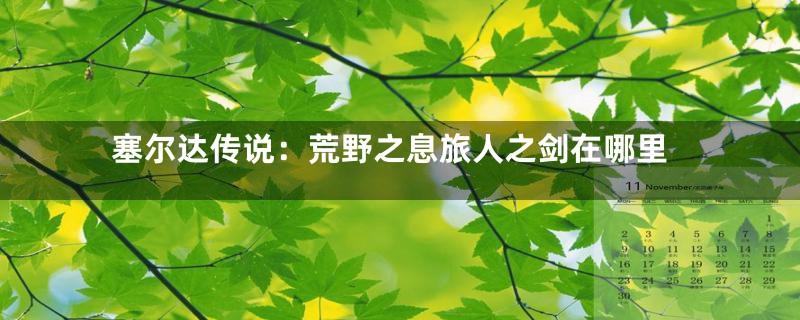 塞尔达传说：荒野之息旅人之剑在哪里