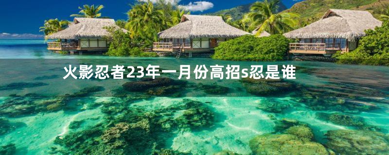 火影忍者23年一月份高招s忍是谁