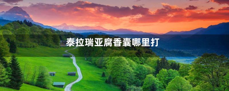 泰拉瑞亚腐香囊哪里打