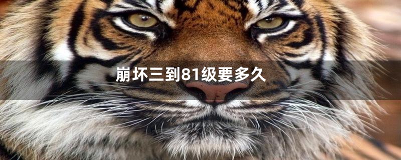 崩坏三到81级要多久
