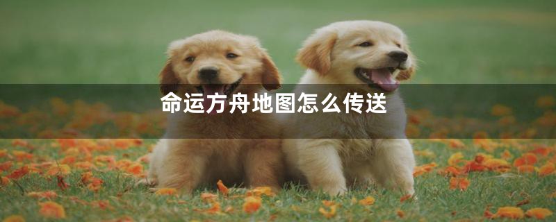 命运方舟地图怎么传送
