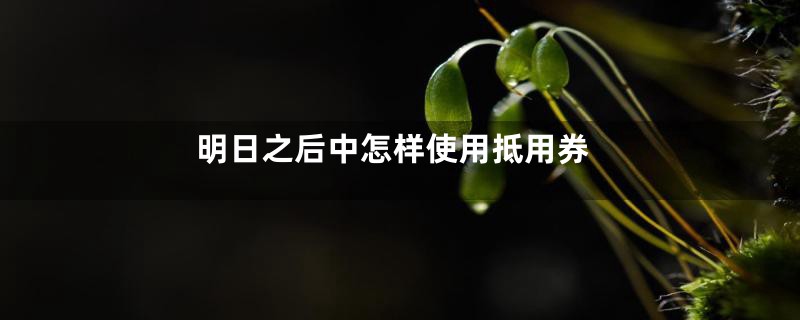 明日之后中怎样使用抵用券