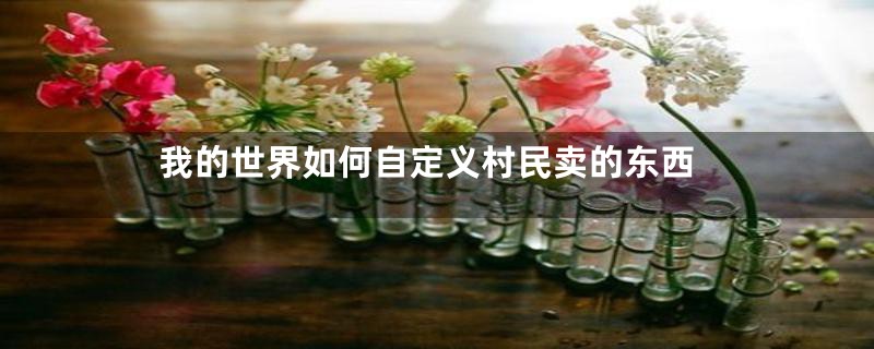 我的世界如何自定义村民卖的东西