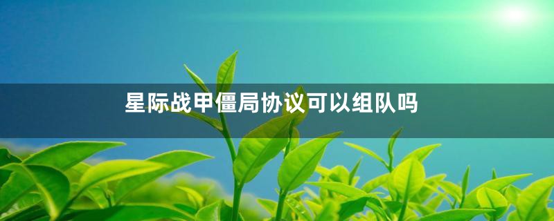星际战甲僵局协议可以组队吗
