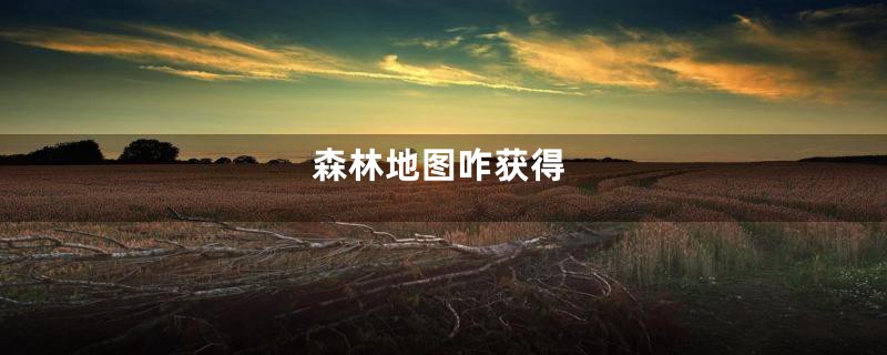 森林地图咋获得