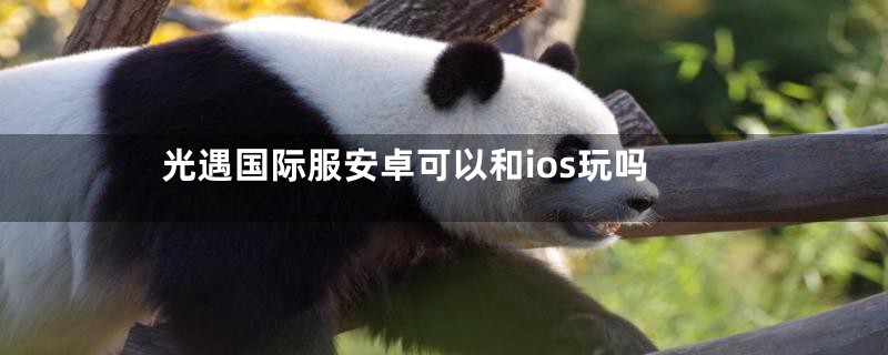 光遇国际服安卓可以和ios玩吗