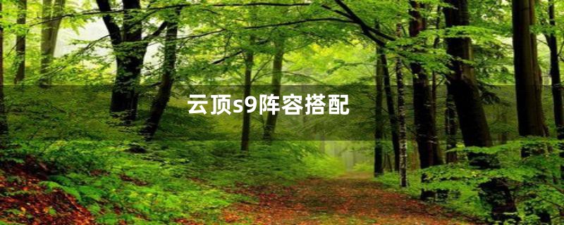 云顶s9阵容搭配