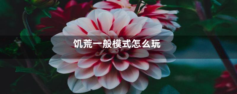 饥荒一般模式怎么玩