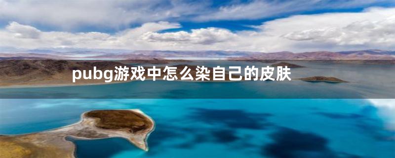 pubg游戏中怎么染自己的皮肤
