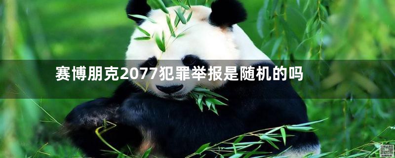赛博朋克2077犯罪举报是随机的吗