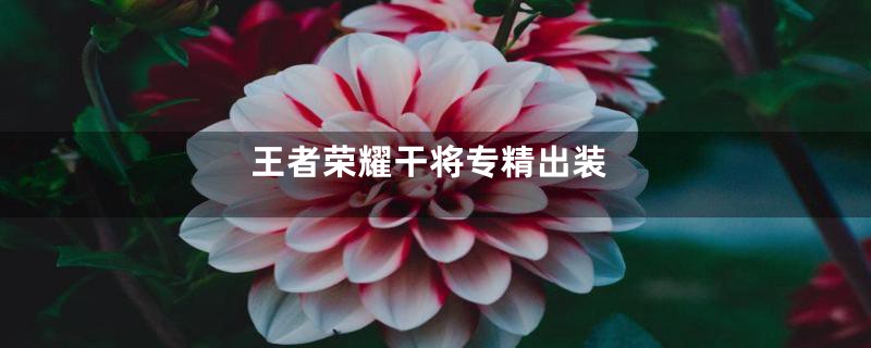 王者荣耀干将专精出装
