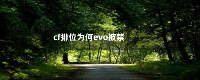 cf排位为何evo被禁