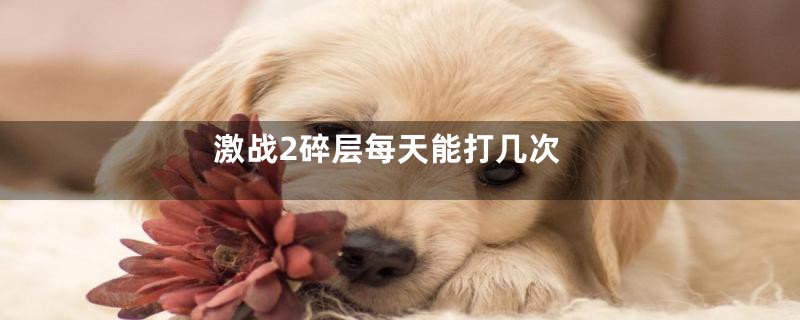 激战2碎层每天能打几次
