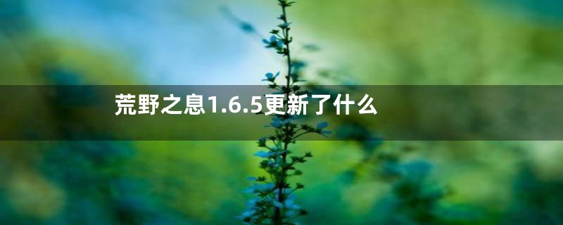 荒野之息1.6.5更新了什么
