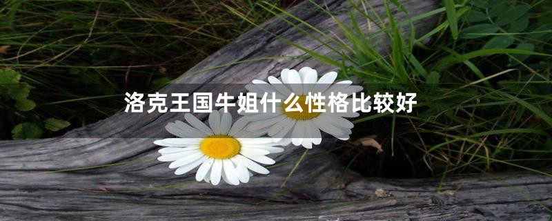 洛克王国牛姐什么性格比较好