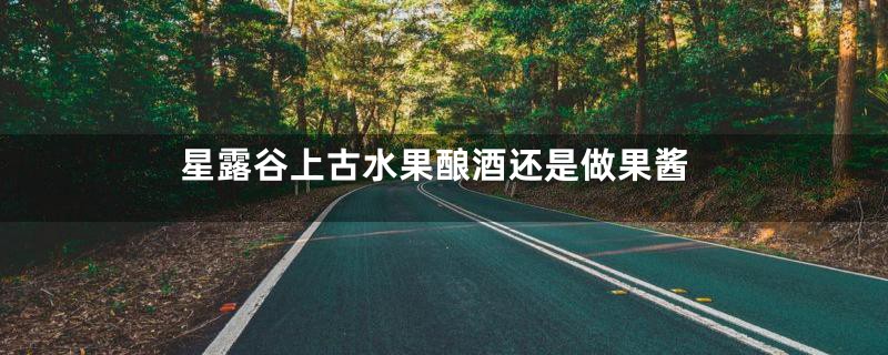 星露谷上古水果酿酒还是做果酱