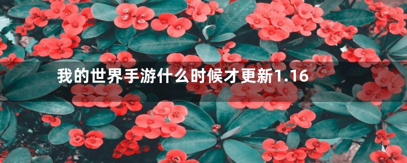 我的世界手游什么时候才更新1.16