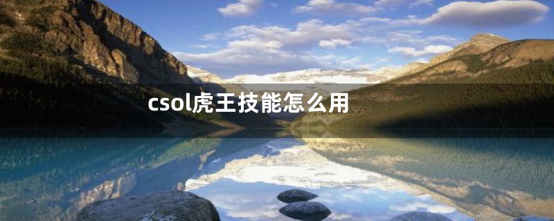 csol虎王技能怎么用
