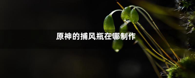 原神的捕风瓶在哪制作