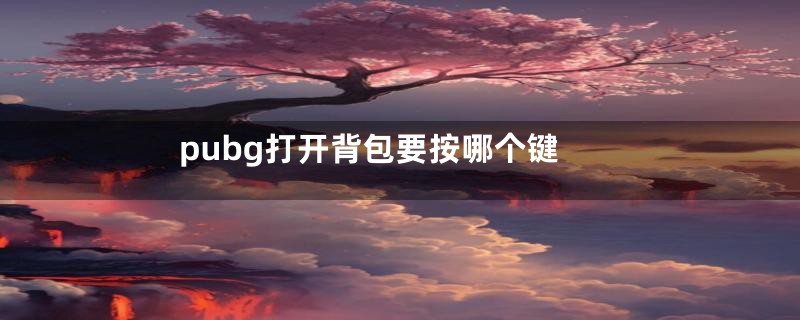 pubg打开背包要按哪个键