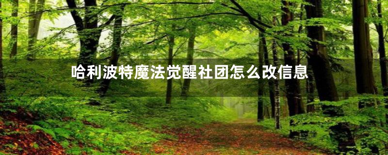哈利波特魔法觉醒社团怎么改信息