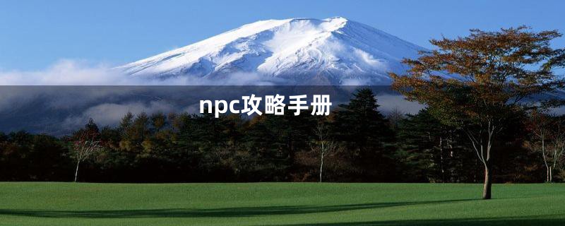 npc攻略手册