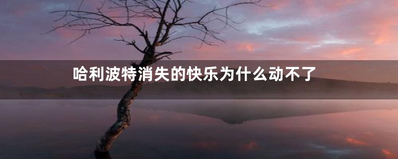 哈利波特消失的快乐为什么动不了