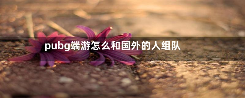 pubg端游怎么和国外的人组队